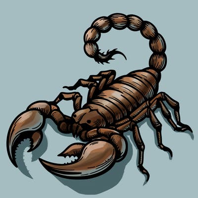 scorpion