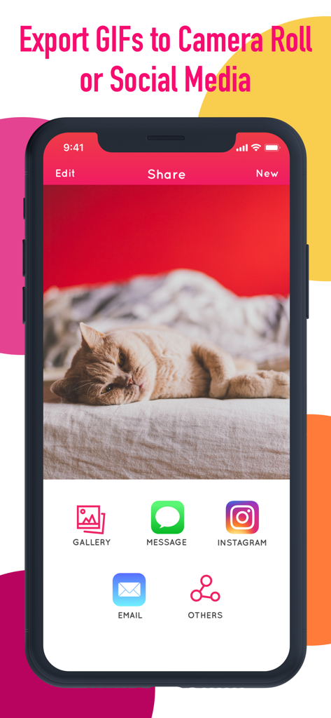 Schermata di condivisione dell'app GifLab che mostra le opzioni per esportare le GIF in Galleria, Messaggio, Instagram e Email.
