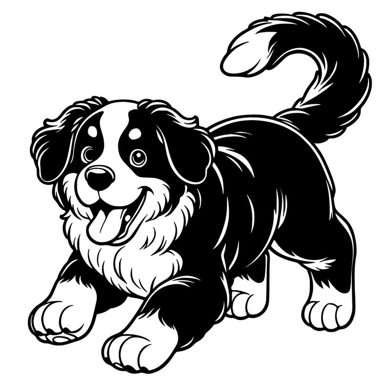 bernese mountain dog playing