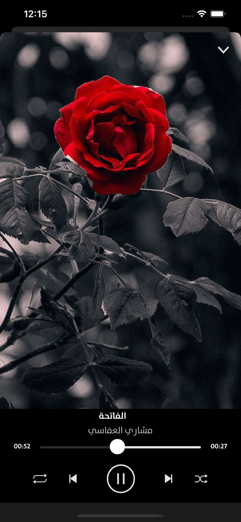 القرآن الكريم – آيات من الذكر - Audio player screen of the Holy Quran app showing a surah recitation by Mishary Alafasy with a red rose background