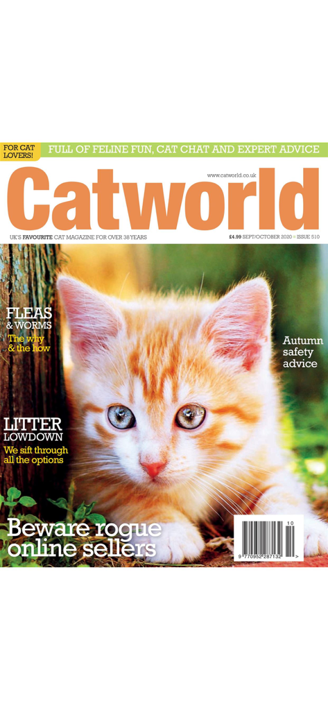 Catworld Magazine - Portada de la revista Catworld con un gatito atigrado jengibre.