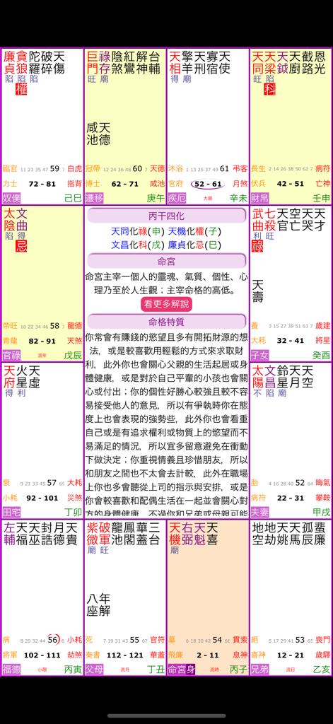 紫微斗數排盤 - A professional Zi Wei Dou Shu astrology chart interface showing the twelve palaces and detailed personality analysis in traditional Chinese.