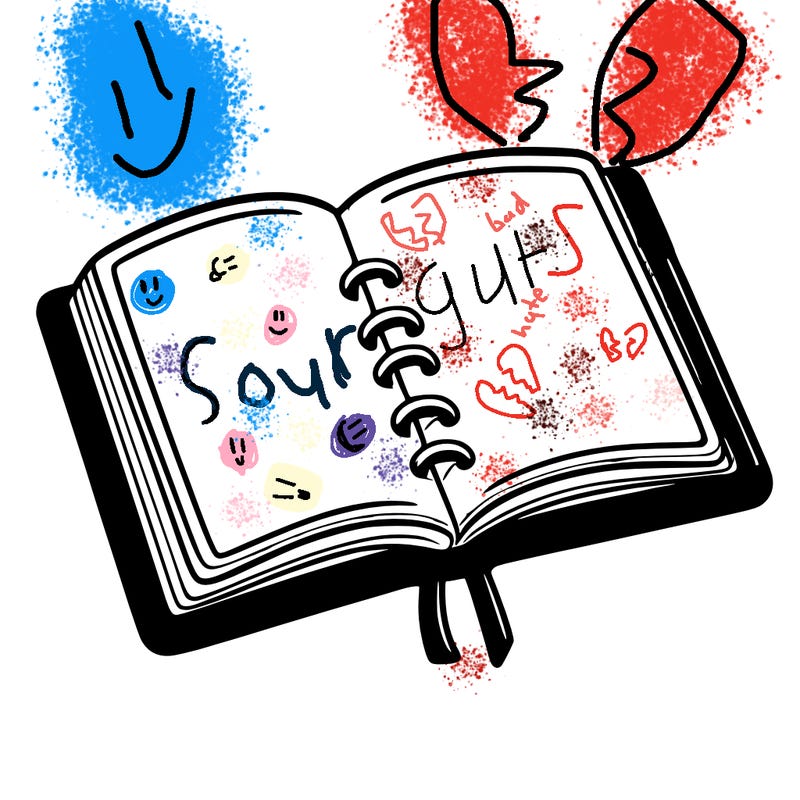 open note book blank