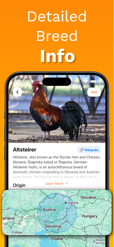 Chicken Identifier – RoostScan - Una captura de pantalla móvil de la aplicación RoostScan que muestra información detallada de razas y un mapa de origen geográfico para el pollo Altsteirer.