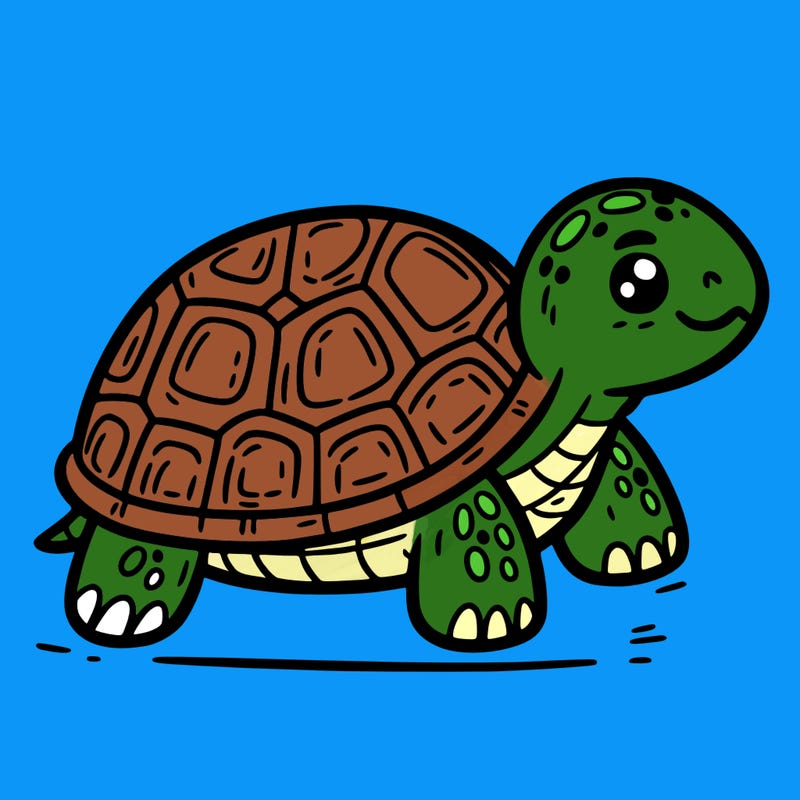 turtle