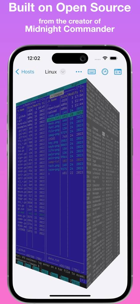 El cliente SSH La Terminal mostrando un gestor de archivos visual 3D y un explorador de procesos en la pantalla de un iPhone con fondo púrpura