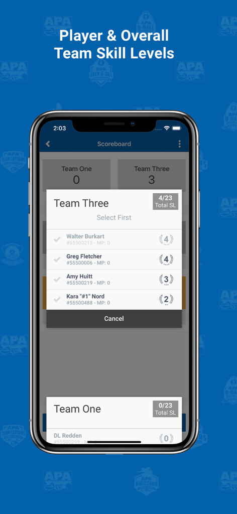 APA Scorekeeper - APA Scorekeeper app interface showing team roster with individual player skill levels