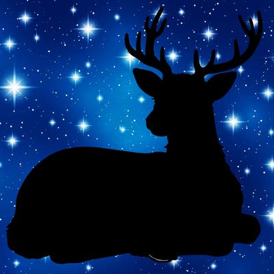 realistic deer with antlers