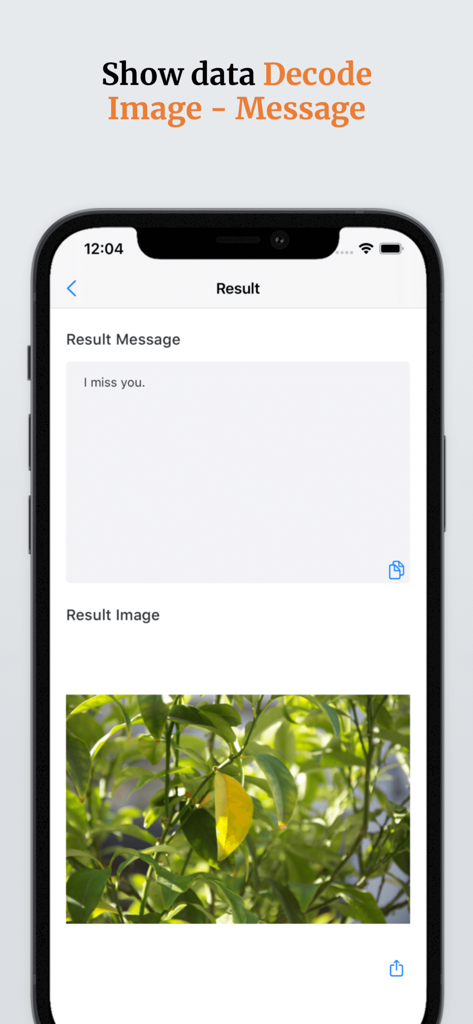 スマートフォン画面。ステガノグラフィーアプリ内でデコードされた隠しメッセージと画像の抽出結果が表示されている