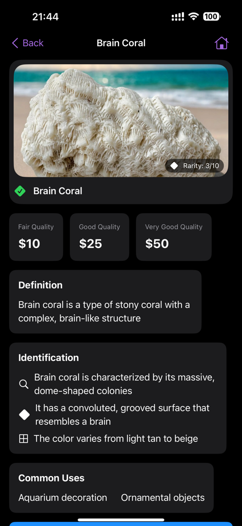 Rock Identifier: Stone Scan ID - Mobile app screen showing the identification of brain coral with rarity rating market value and detailed physical descriptions