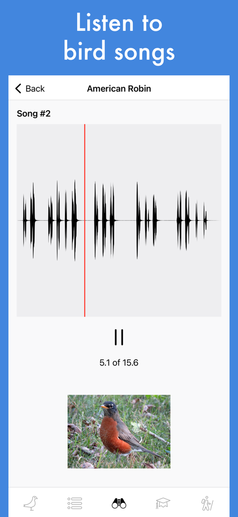 Smart Bird ID: Bird Identifier - Interface of the Smart Bird ID app showing a song recording and spectrogram for an American Robin.