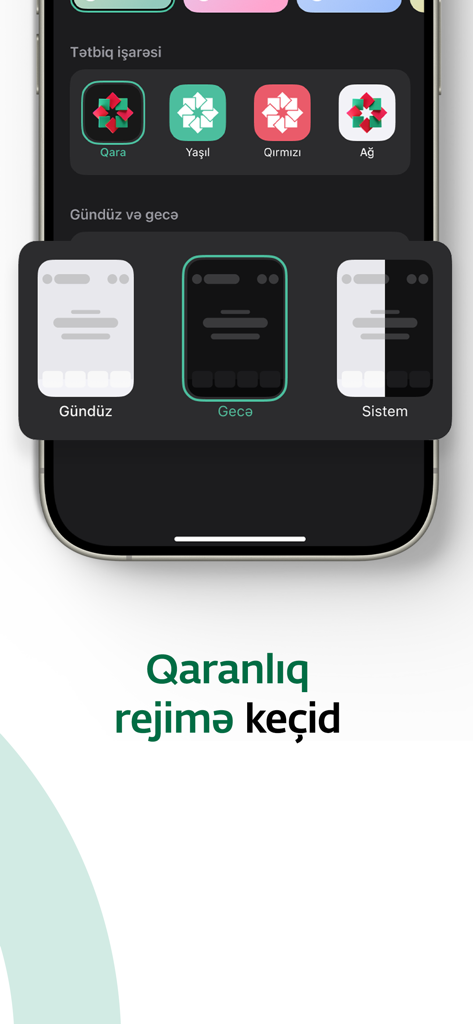 PASHA Bank Business - PASHA Bank Business mobile app theme selection and dark mode settings screen