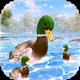 Virtual Duck Life Simulator