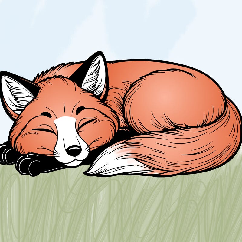 realistic sleeping fox