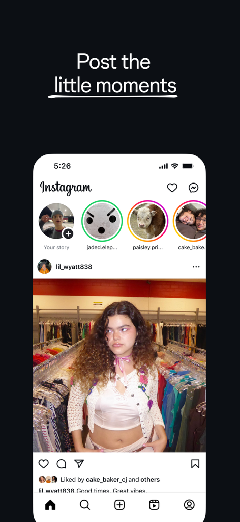 A mobile screenshot of the Instagram home feed showing stories and a photo post under the text Post the little moments