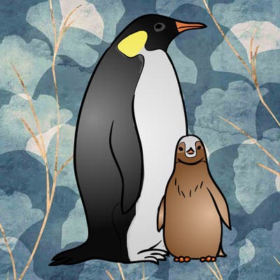 animals_31