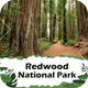 Redwood = National Park