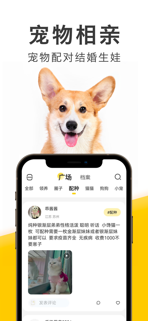 有只宠物-宠物市场买猫买狗卖猫卖狗宠物交易平台 - Screenshot of the Youzhi Chongwu app interface showing the pet matchmaking section with a Corgi and a cat breeding social post.