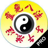 Chrono-Acupuncture - App Icon