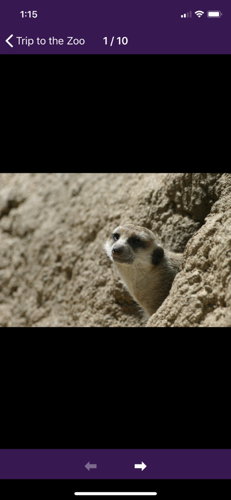 Air Projector - Air Projector app displaying a meerkat photo in a slideshow titled Trip to the Zoo.