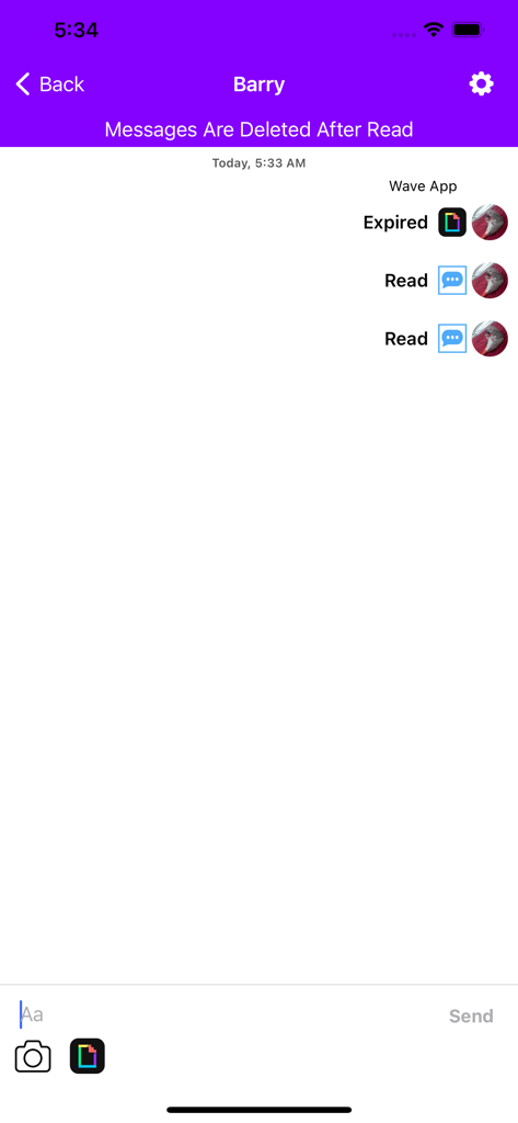 Wave app chat screen showing ephemeral messaging with messages deleted after being read.