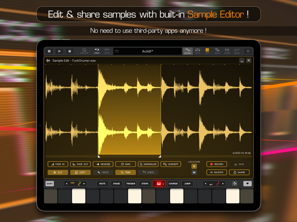 Groove Rider 2 professioneller Sample-Editor auf dem iPad mit Wellenformanzeige und Audio-Bearbeitungswerkzeugen