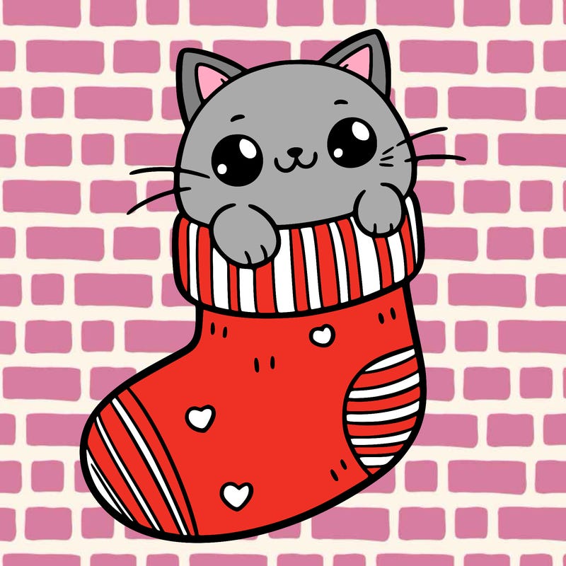 cute cat in a sock