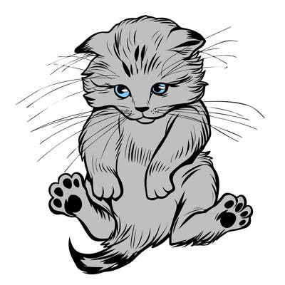 animals_20