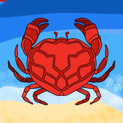 animals_16