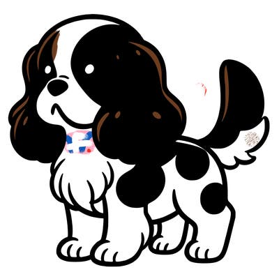 cavalier with brown spots and white skin