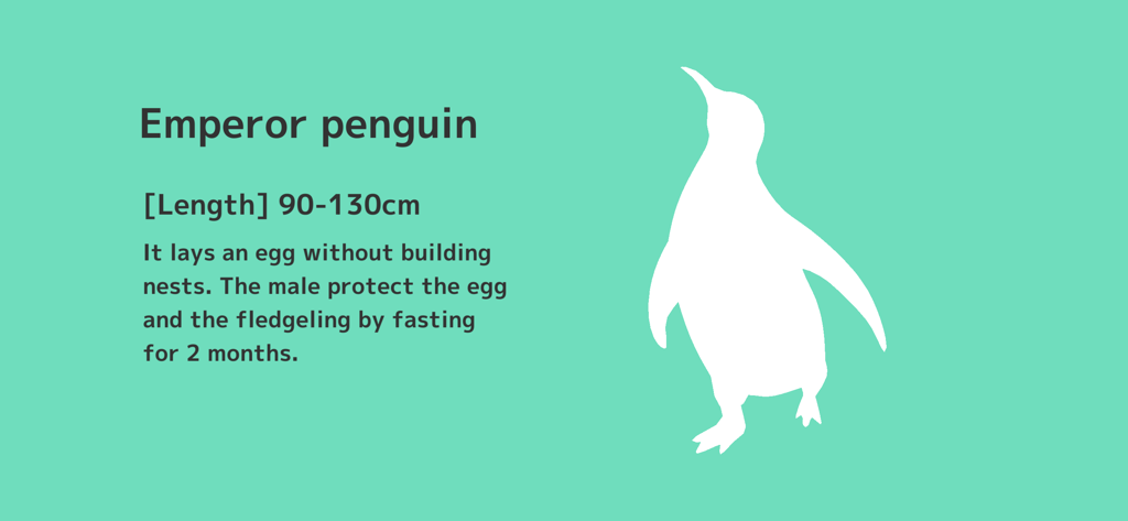 Dot Scale - Emperor penguin silhouette and facts screen in the Dot Scale app