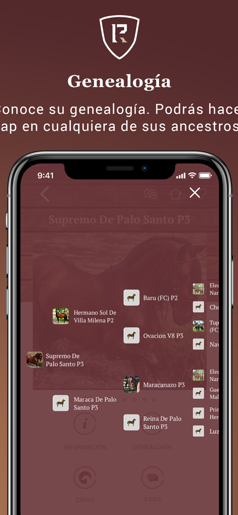 Andares 승마 앱에서 콜롬비아 크리오요 말의 족보 표시