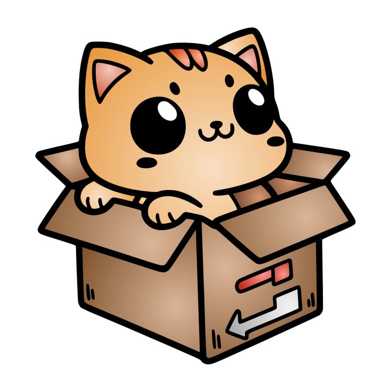 cat in box
