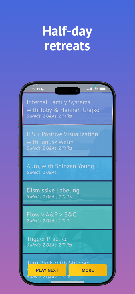 Brightmind Meditation app screen showing a list of half-day retreats including sessions on Internal Family Systems and technical mindfulness with Shinzen Young