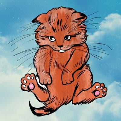 animals_20