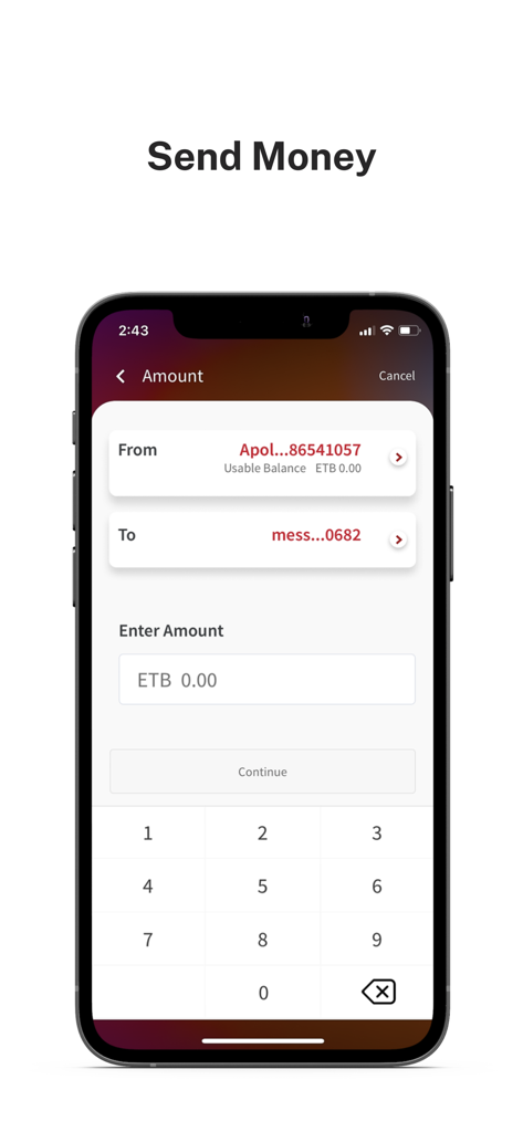 Apollo Digital app screen showing money transfer input with numeric keypad
