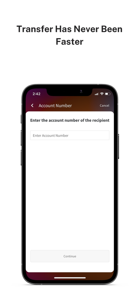 Apollo Digital app screen for entering a recipient account number to initiate a fast money transfer