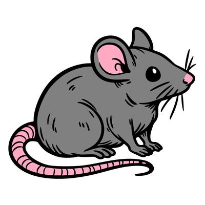 rat