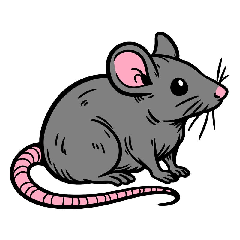 rat