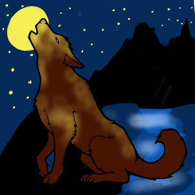 animals_36