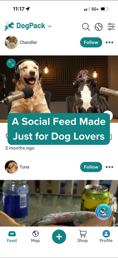 Ein Screenshot der DogPack-App, der einen Social-Media-Feed für Hundebesitzer mit Hunde-Fotos und Funktionen zur Community-Interaktion zeigt.