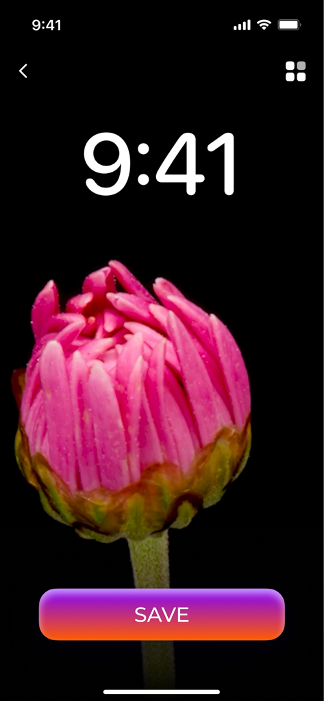 Charging Animation for Battery - Preview of a pink flower bud charging animation on an iPhone lock screen