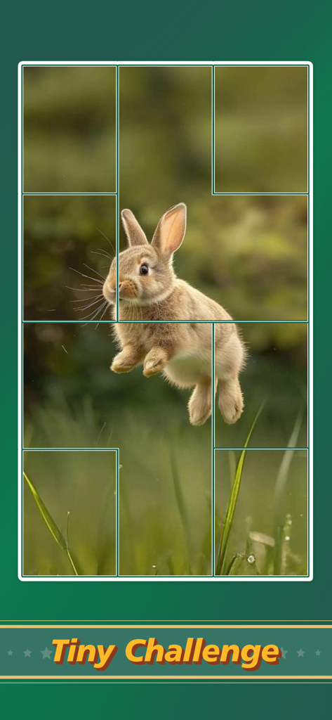 Jigsaw Puzzle Art: Relax Book - A jigsaw puzzle game screen featuring a cute jumping rabbit and the words Tiny Challenge