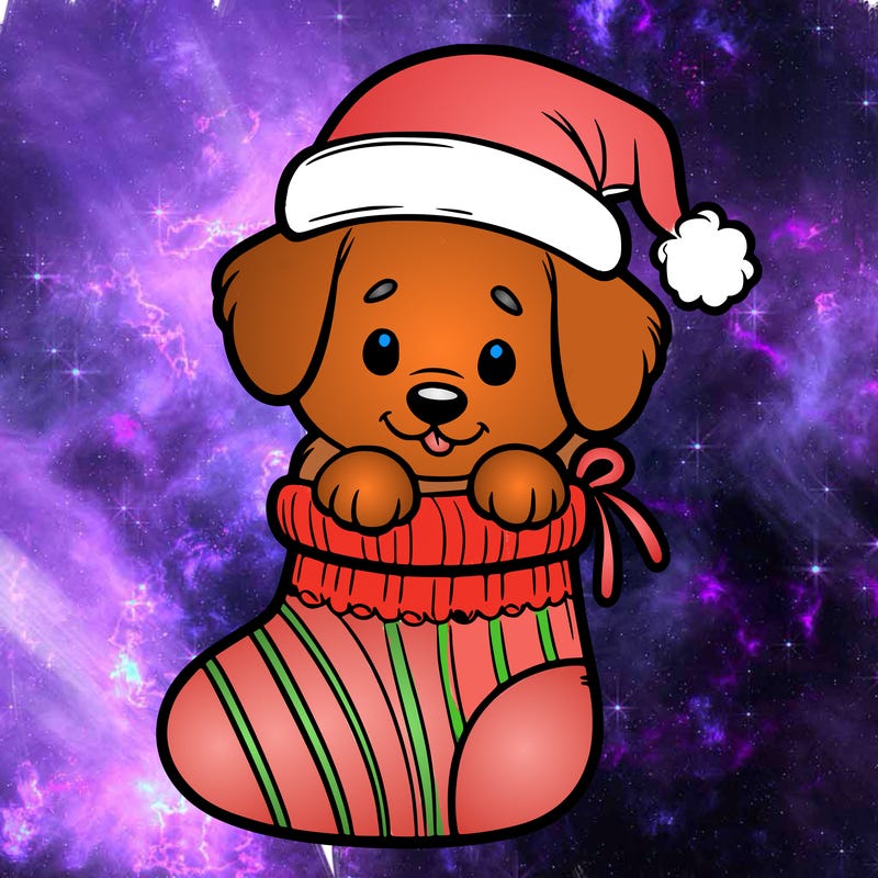 cute puppy wearing santa hat in socking