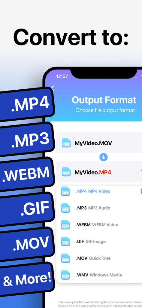 The Video Converter - Pantalla de smartphone que muestra varios formatos de salida de vídeo y audio como MP4, MP3, WEBM y GIF en la aplicación El Convertidor de Vídeo.