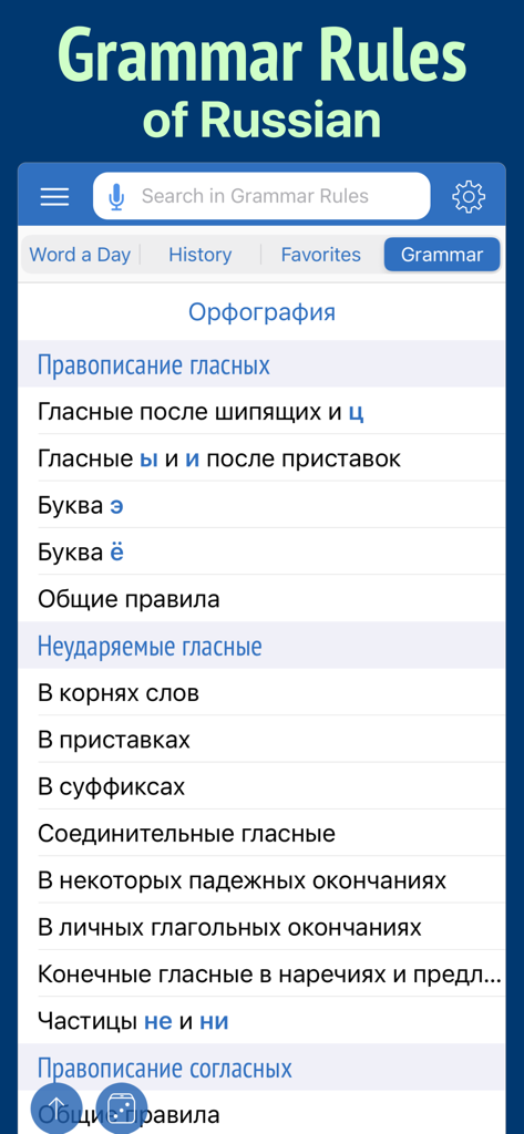Russian Dictionary Wiki Word - Screenshot of the grammar rules section in the Russian Dictionary Wiki Word app.