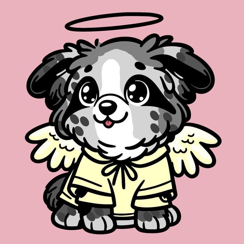 cute australian shephard puppy in an angel costume