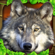 Wildlife Simulator: Wolf