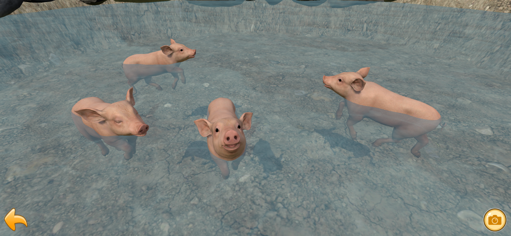 Piglet Garden - Four pink mini pigs wading in a clear water pool in the Piglet Garden app