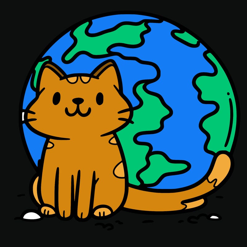 cat sitting on earth